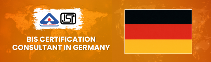 bis consultancy in Germany
