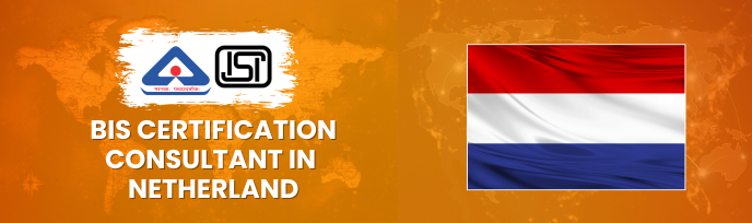 bis consultancy in Netherland