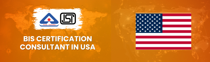 bis consultancy in US
